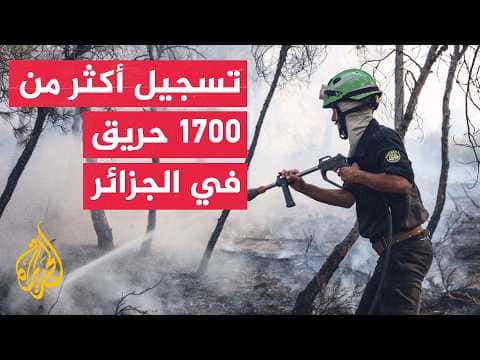 Forest fires resume in Bouira