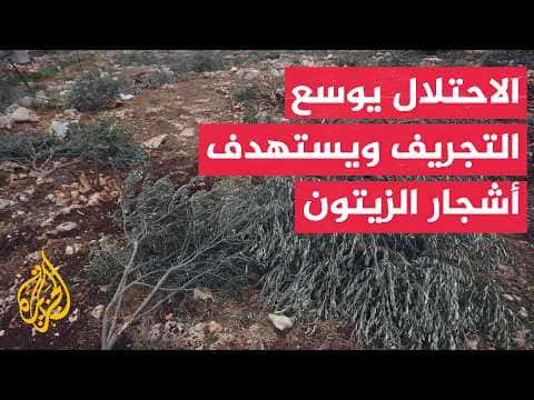 Israel plans to demolish 316 dunams in West Bank