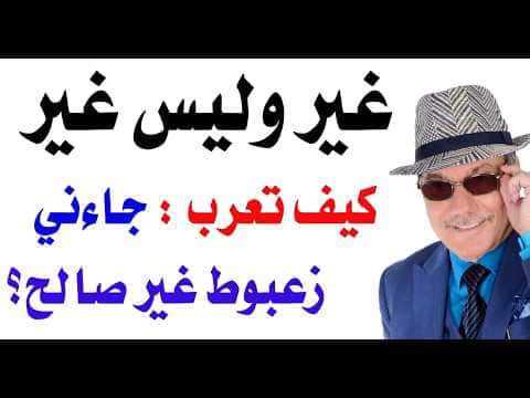 Dr. Osama Fawzi on "Ebarab" grammatical parsing