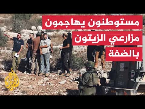 مستوطنون يهاجمون فلسطينيين خلال قطف الزيتون