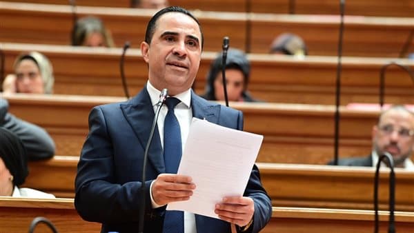أمين صناعة النواب يوضح سر نجاح مبادرة القرية المنتجة