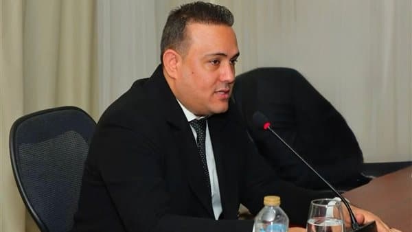خبير اقتصادي: بناء صناعة مصرية قوية شرط نجاح الشراكة مع الصين