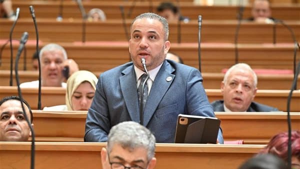 MP Highlights Sisi's India Visit as Egypt's Engagement