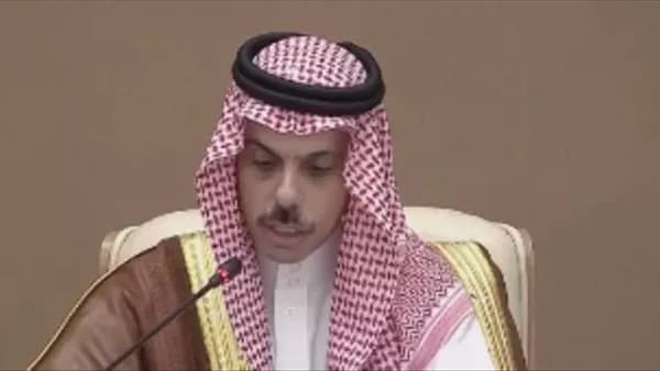 Saudi Foreign Minister on peace efforts