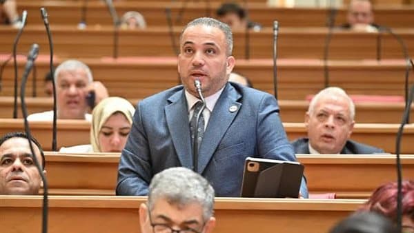 Hany Shahat Questions Technical Education Development