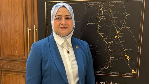 مروة قنصوة تؤكد أهمية تماسك المؤسسات