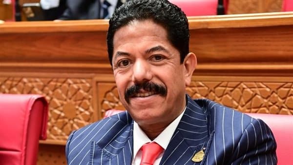 Al-Hadoui on postponing Criminal Procedure Law