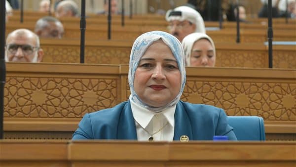 مروة قنصوة: كلمة السيسي تحدد خارطة طريق للتنمية القارية