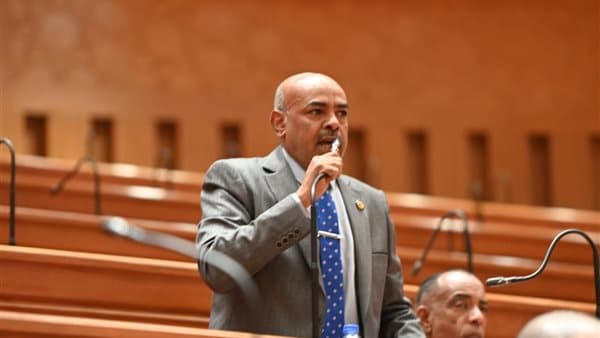 MP Abu El-Kheir on October Victory Anniversary