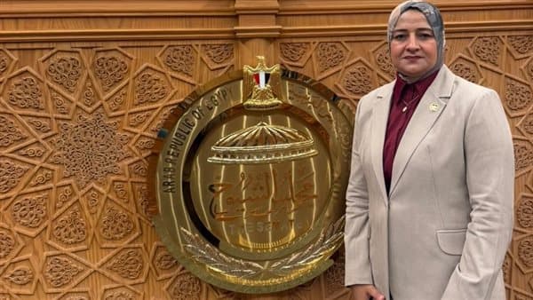 مروة قنصوة تؤكد دعم الطاقة المتجددة