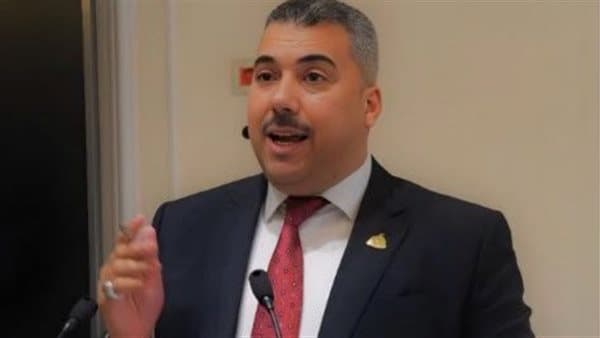 Abu Sheikh Highlights Egypt-Korea Cooperation