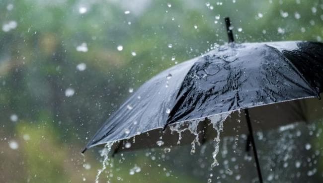Rainfall may reach 80 mm in these states