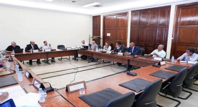 Tax Advisor Draft Law Approved by Committee