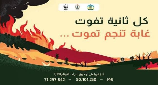 حملة للتبليغ السريع عن الحرائق تؤكد أن كل ثانية تفوت قد تؤدي إلى موت الغابات