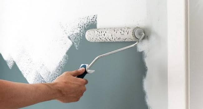 Painter kills woman after helping with house painting