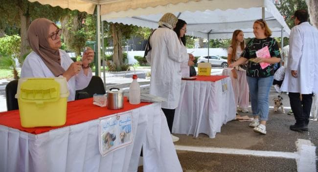 Tunis Municipality Hosts Rabies Vaccination Awareness Day