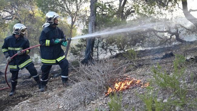Efforts Continue for Third Day to Extinguish Fire on Mount Bougnem in El Kef