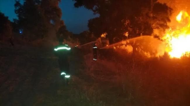 الجزائر: حرائق مستمرة في جيجل بجاية وسكيكدة