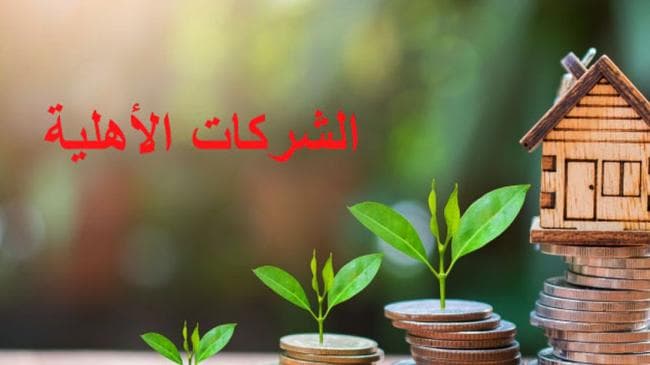 سعي لإطلاق 1200 شركة أهلية ومنصة خاصة