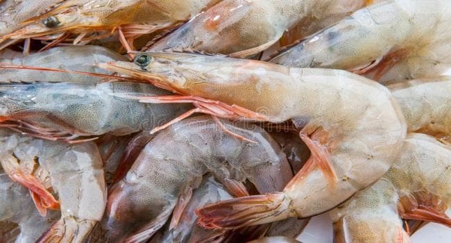 Farmers' Union Explains Krofats Oversupply