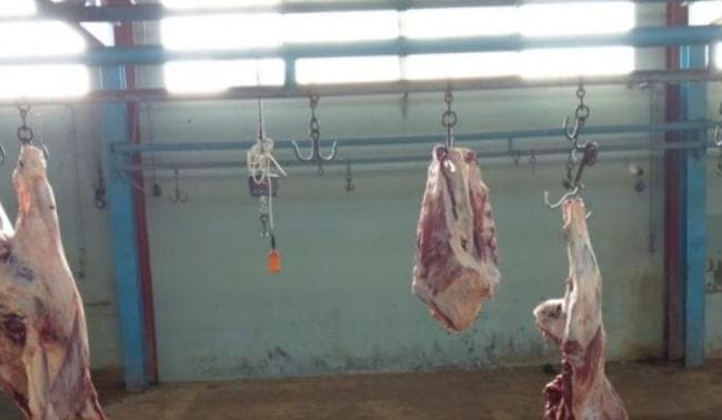 Bouwarada slaughterhouse closed temporarily