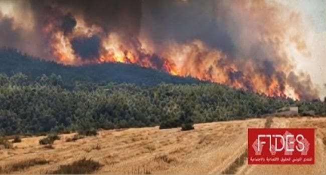 Tunisian Rights Forum Urges Compensation for Fire Victims