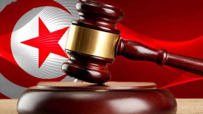 Public prosecution acts over stray dog threats to pregnant cat in Kasserine