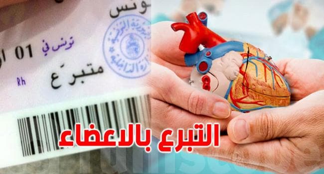 مركز النهوض بزرع الأعضاء ينظم يوما تحسيسيا بنابل