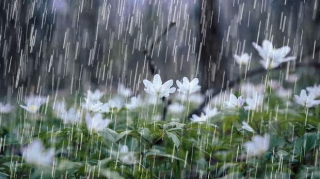 Heavy rain forecast in these areas from tomorrow afternoon
