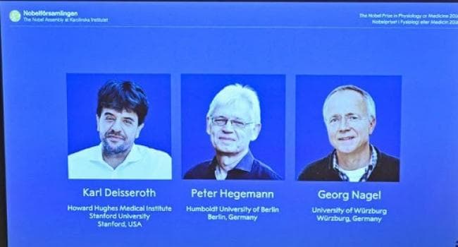 Three scientists awarded Nobel in Medicine for light-controlled neuronal activation