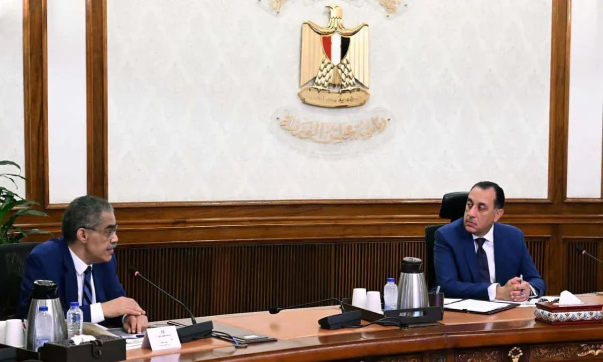 Egypt to assess media landscape annually