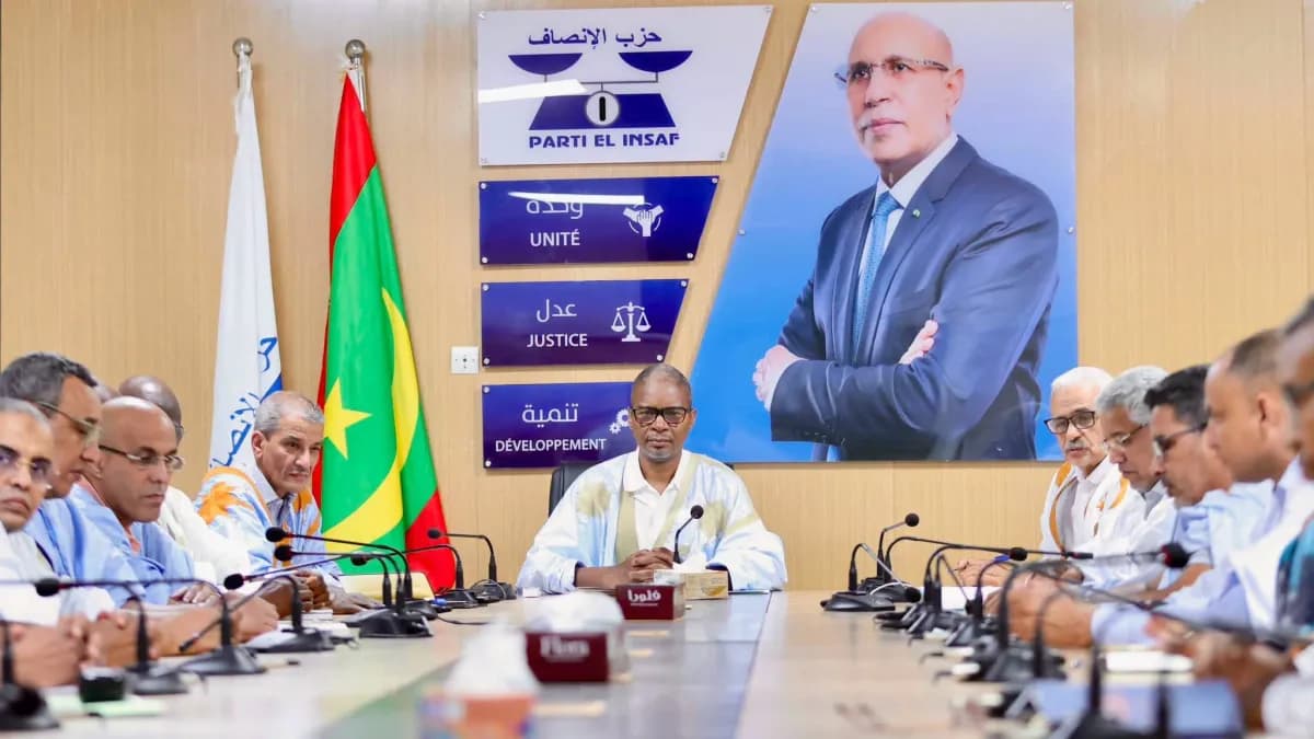 Mauritania's ruling party rejects hate speech in politics