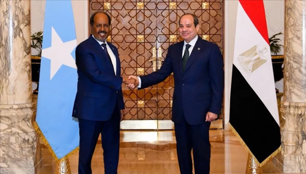 Egypt supports Somalia's unity through African alliances, logistical, and military aid