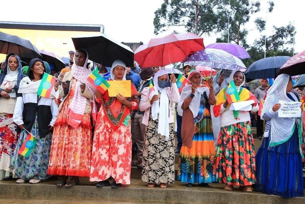 Protests in Addis Ababa and Tigray Conflict