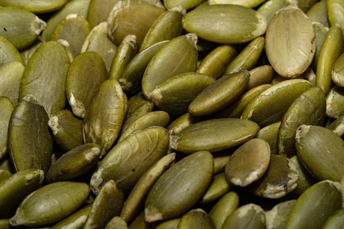 Six foods with higher protein than eggs