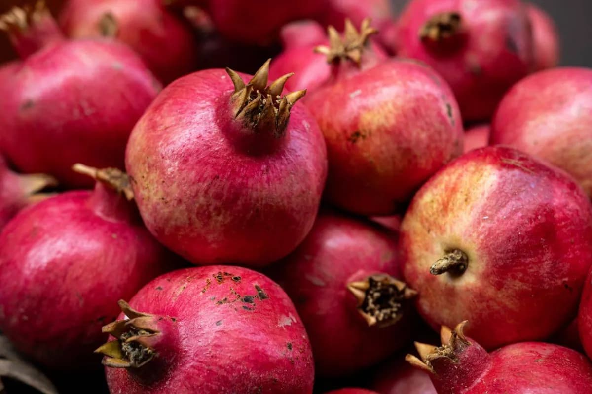 Pomegranate peel benefits for prostate cancer