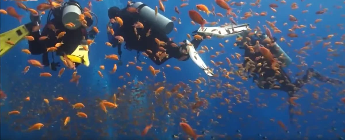 Egypt advances tourism in natural reserves
