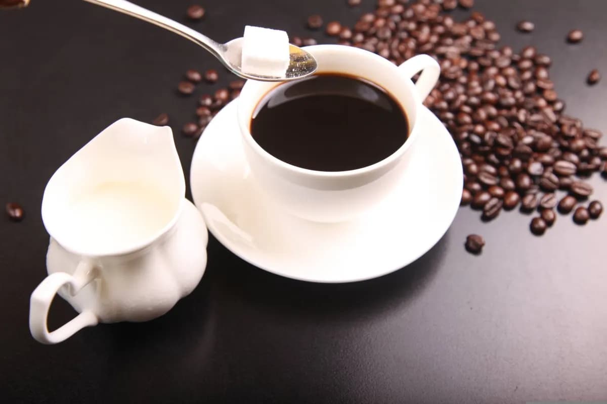 توقيت استهلاك القهوة ومستويات الكوليسترول