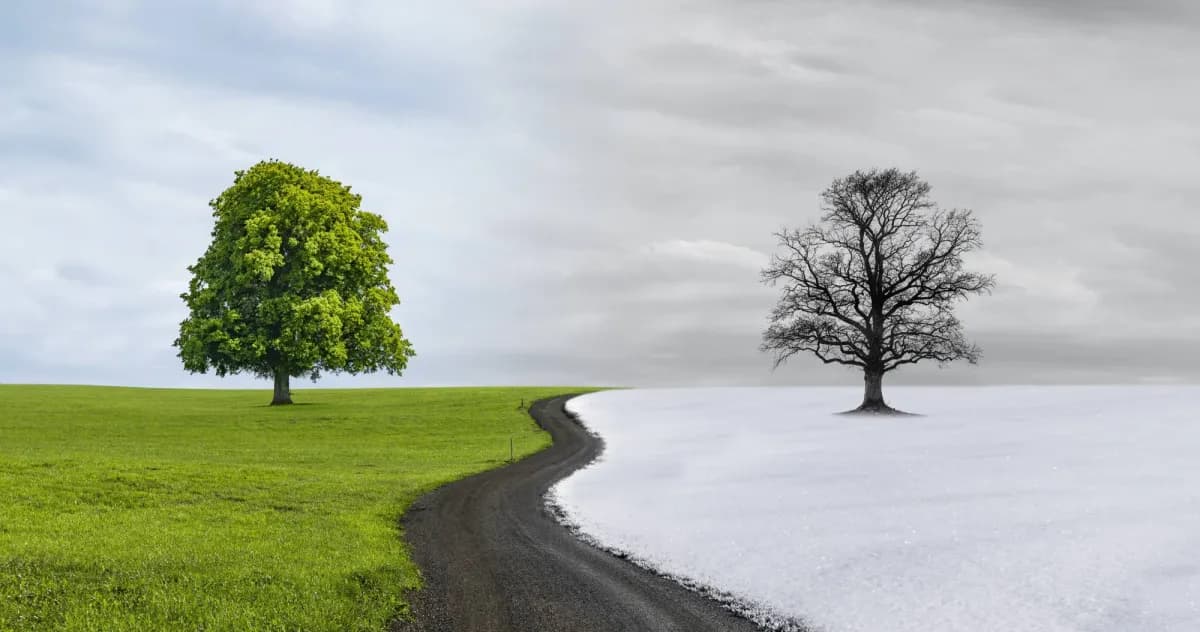 Seasonal Changes Impact Human Genes