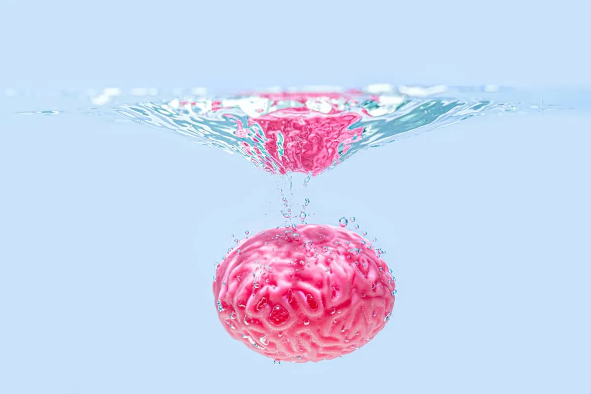 Brain cleaning starts during sleep