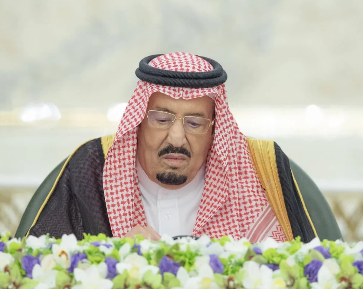 Saudi Ministers endorse Naval Alliance activation