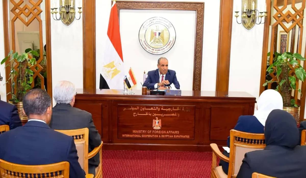 تفسير التلويح المصري بحق الدفاع في أزمة سد إثيوبيا