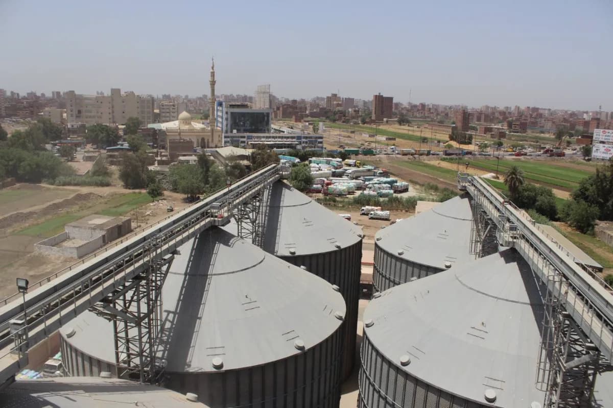 Egypt worries over wheat import issues due to Black Sea unrest