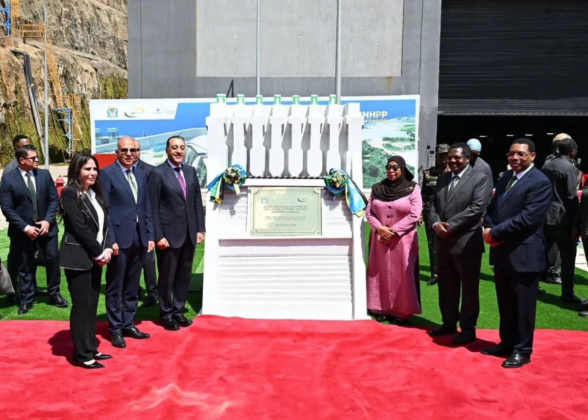Egyptian firms excel in African projects