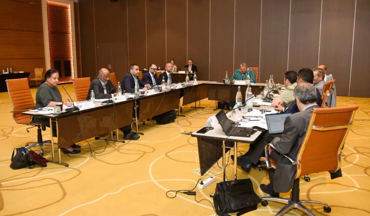 Libya leak allows dual nationals to run