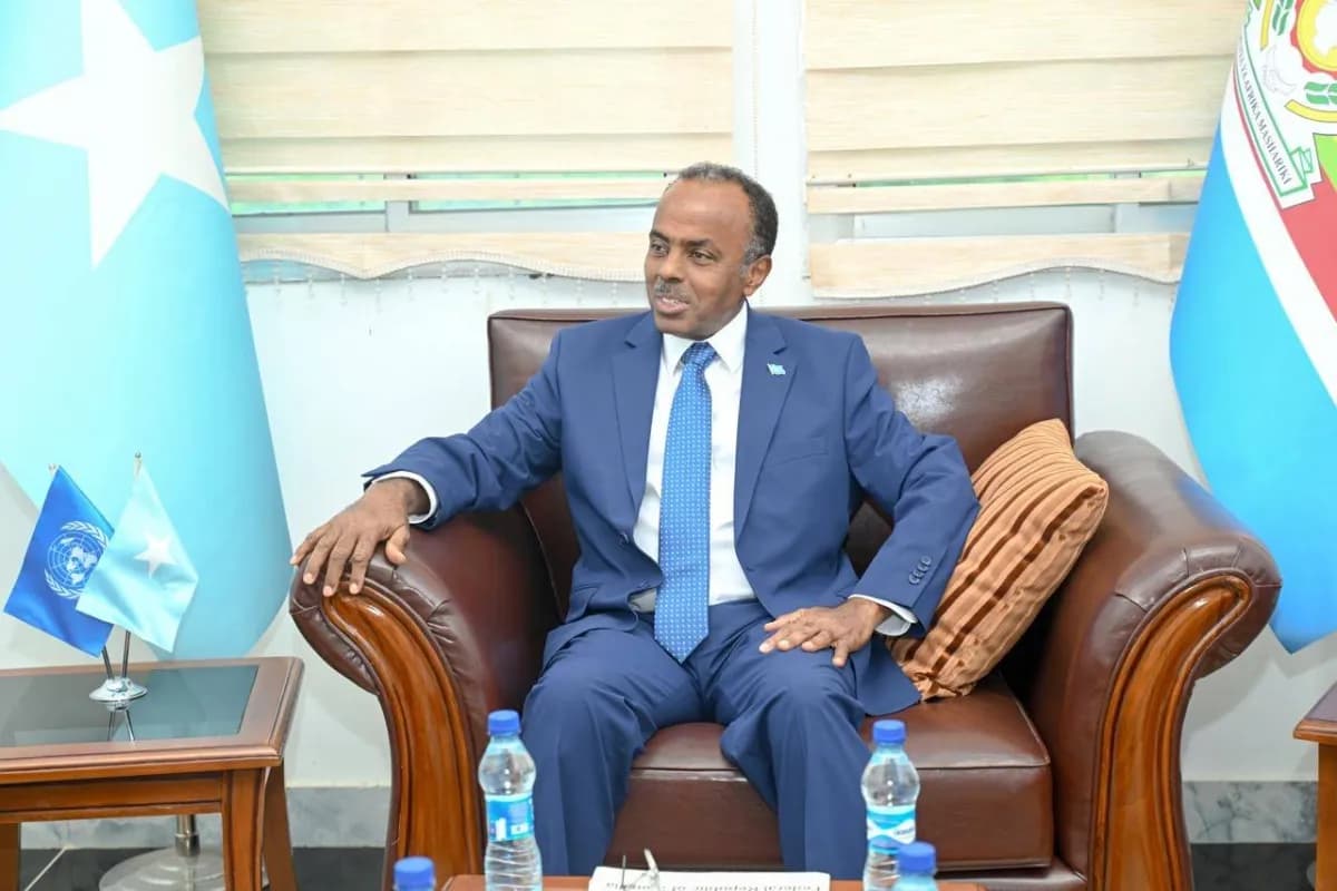Somalia Calls on Arabs to Block Separatist Recognition