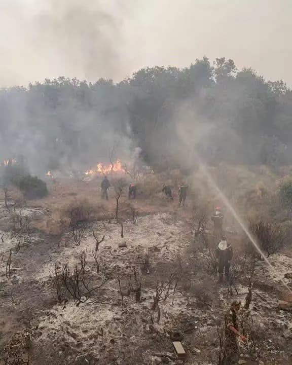 Siliana forest fire evacuees counted