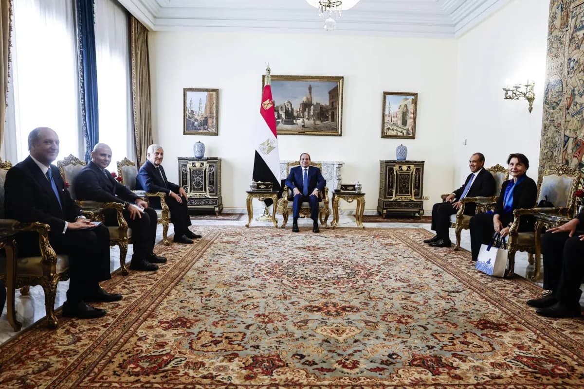Sisi: Red Sea security is for neighboring nations