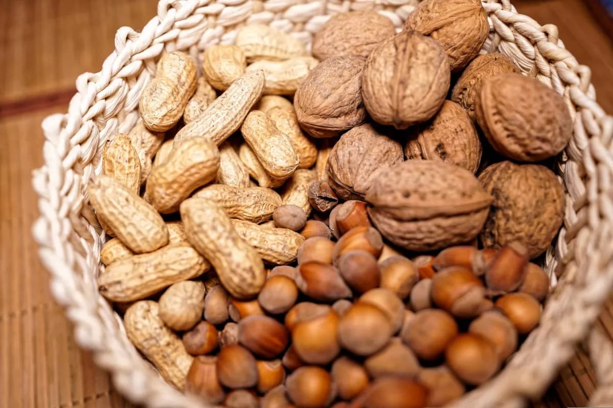 Top 5 Plant Proteins for Daily Intake