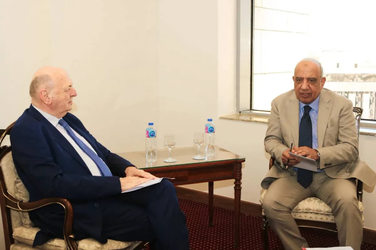Egypt's advantages from electric links